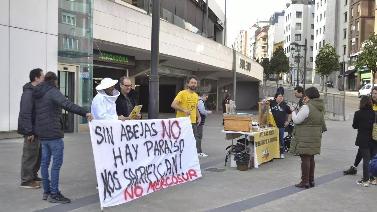 Cata de miel de Asturias, en Oviedo.