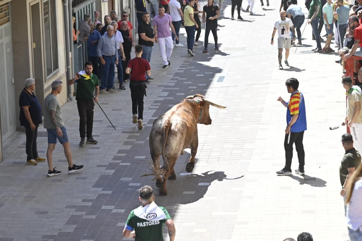 Galería | Almassora vibra con el encierro de cerriles de Gerardo Ortega