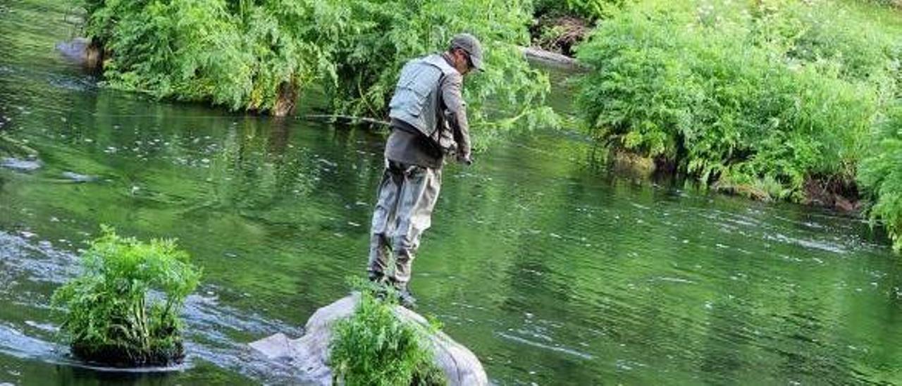 Un pescador lanza su caña desde una piedra en el río Ulla. |   // SALVA ORTEGA