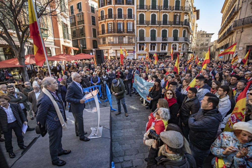 Unas 700 personas se concentran en Palma "por la unidad de España"