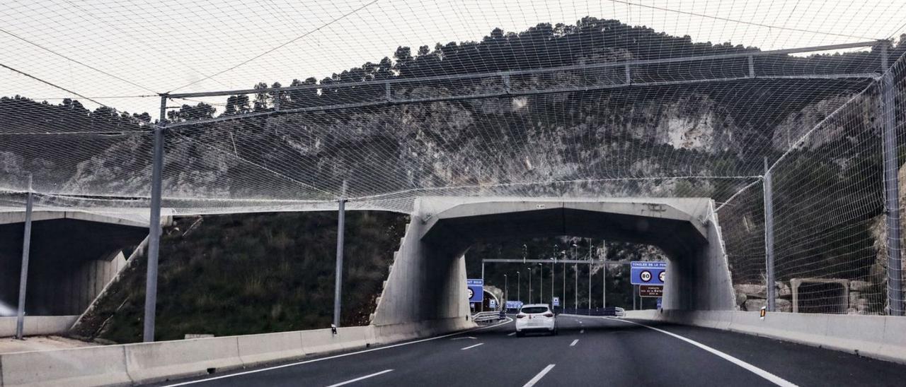 Mallas protectoras para los murciélagos y pasos de fauna habilitados en la A-7 en Alcoy. | JUANI RUZ