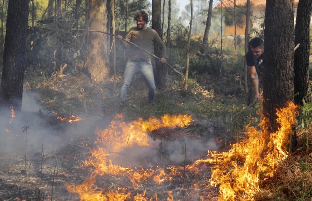 Incendio en Rianxo |El fuego arrasa más de 800 ha