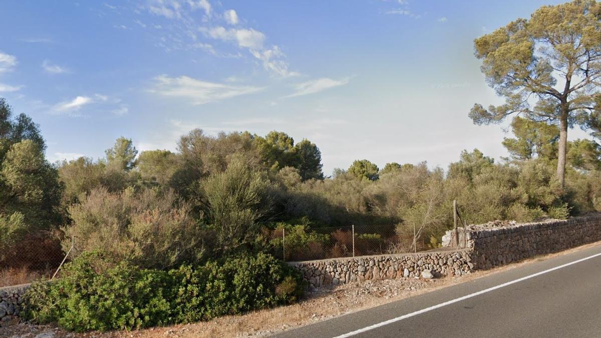Finca donde se proyecta el parque solar de Sencelles.