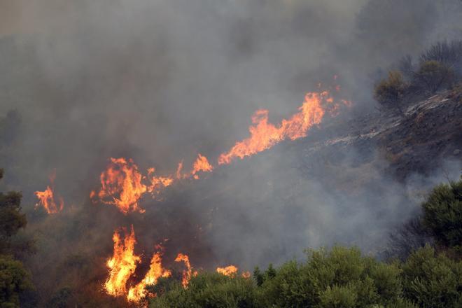At least 34 dead following forest fires in Algeria