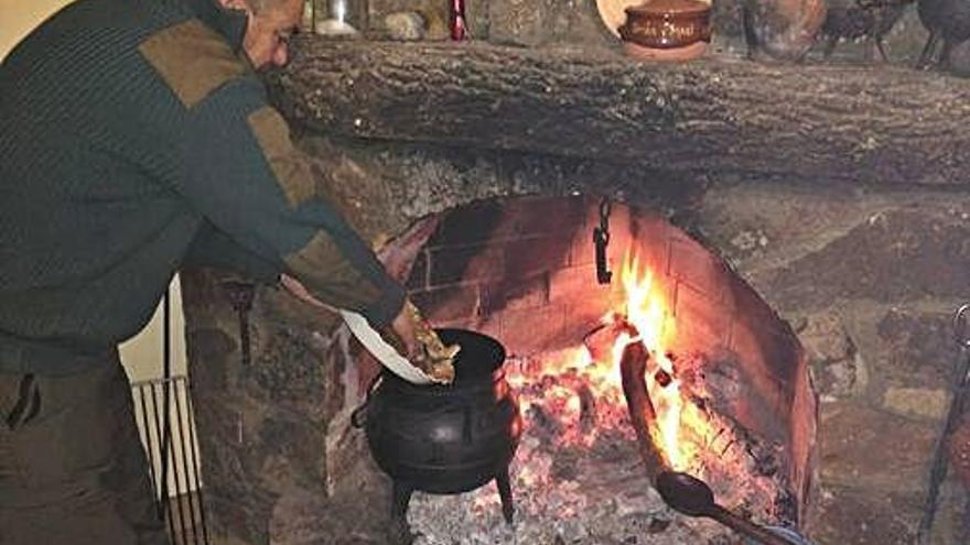 Comida campestre de níscalos.