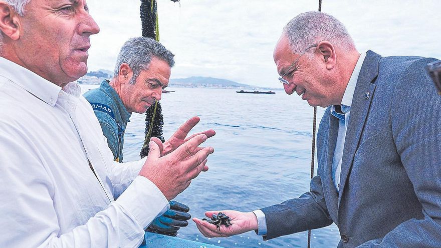 Bruselas hunde el presupuesto para la pesca a 2.000 millones, un 67% menos