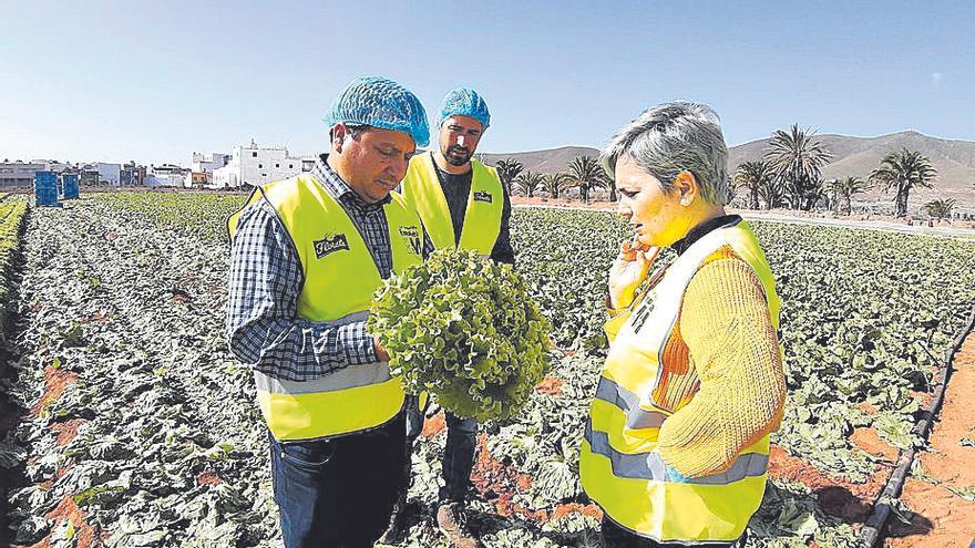 Técnicos de Florette y del ITC mientras realizan trabajo de campo.