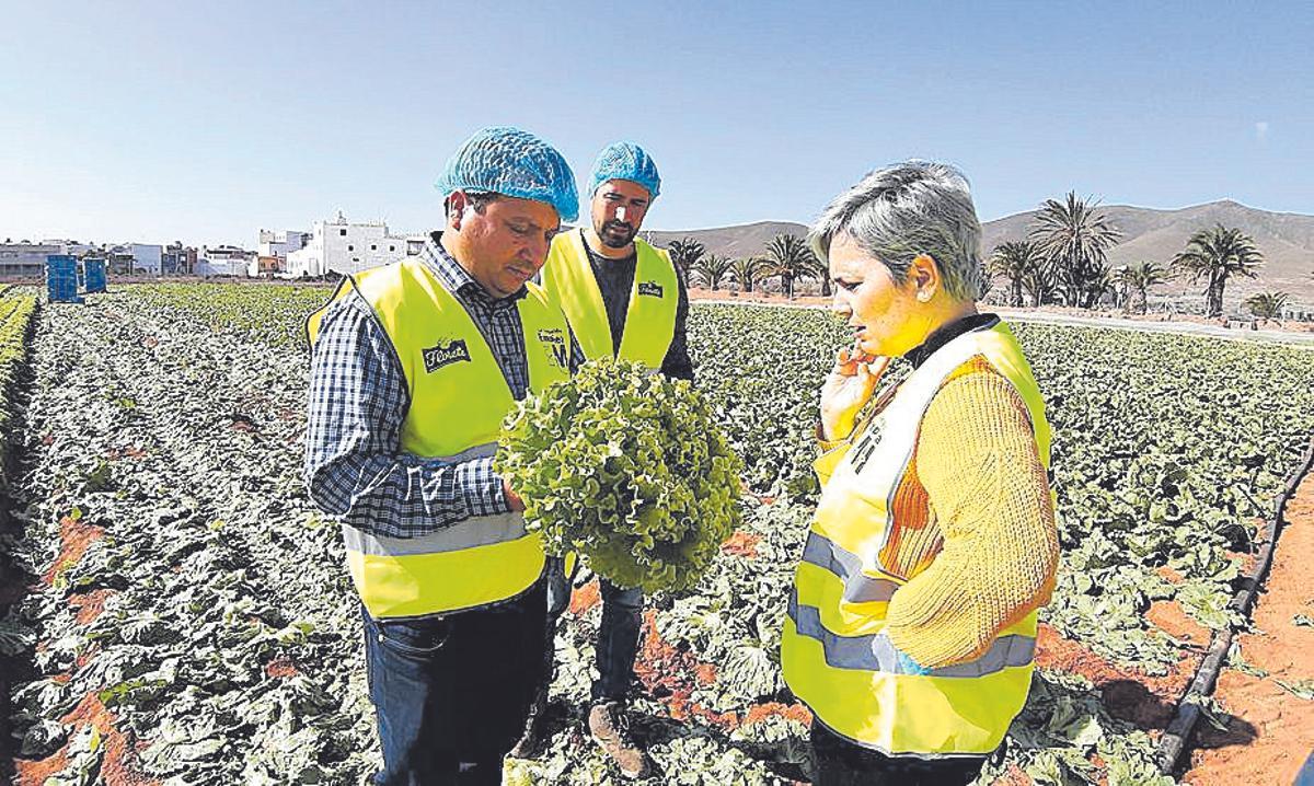 Técnicos de Florette y del ITC mientras realizan trabajo de campo.