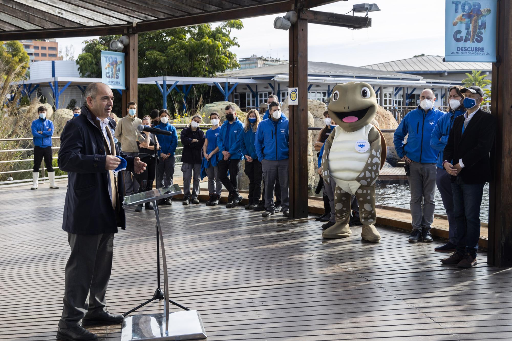 El Oceanogràfic presenta su campaña 'Tortugas 2022'