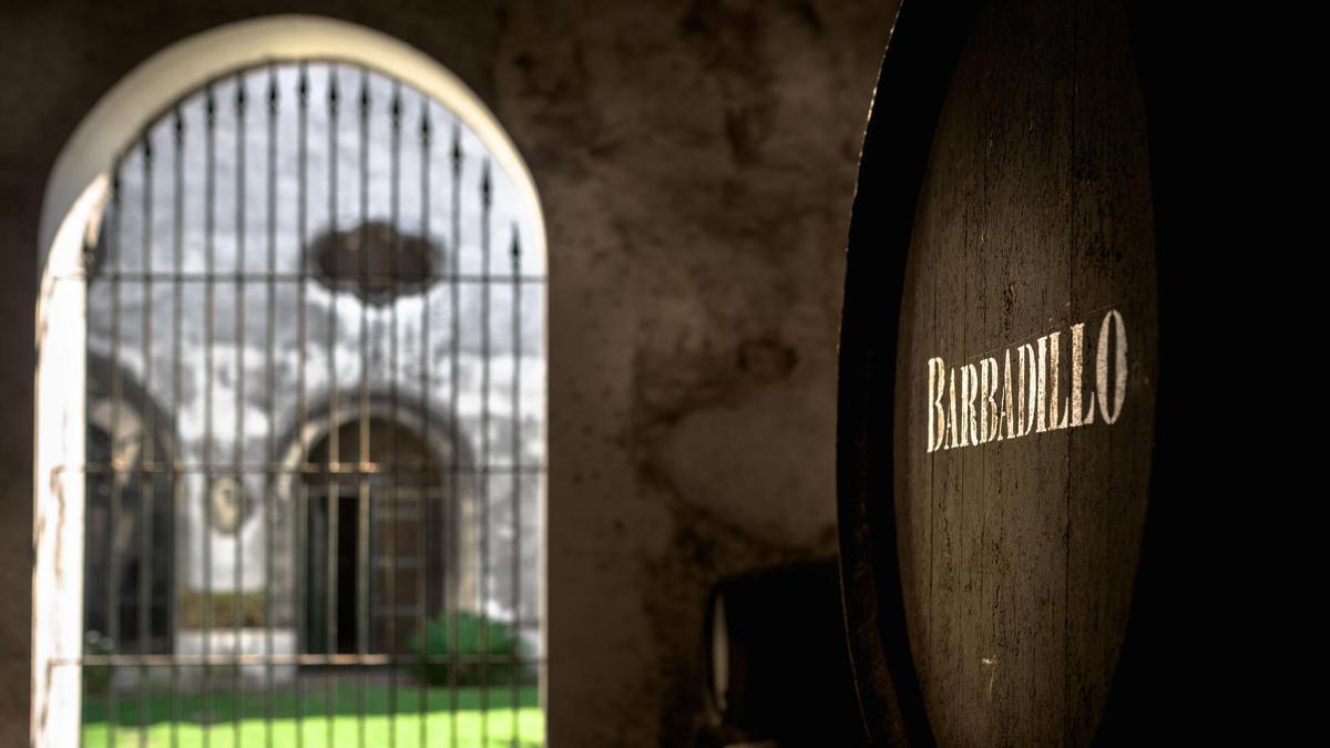 La manzanilla no es solo un vino de origen; es un vino de encuentro.