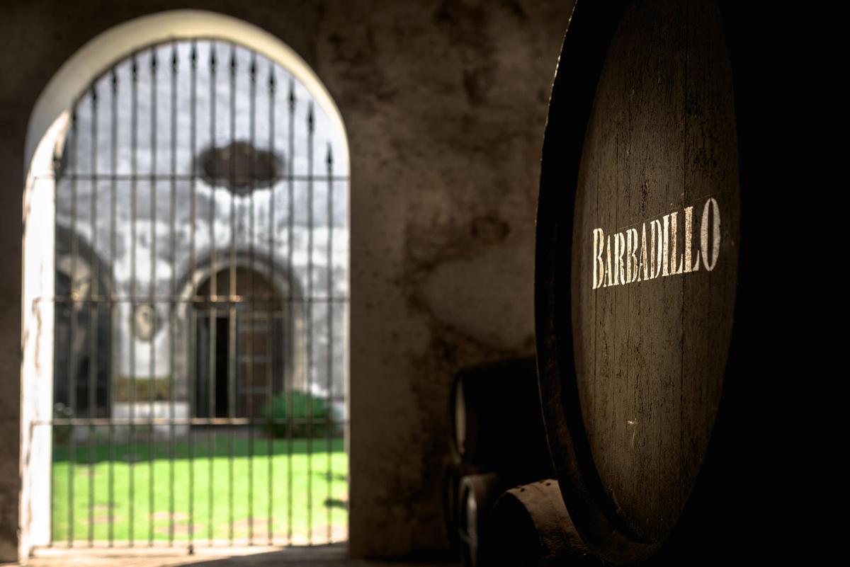 La manzanilla no es solo un vino de origen; es un vino de encuentro.