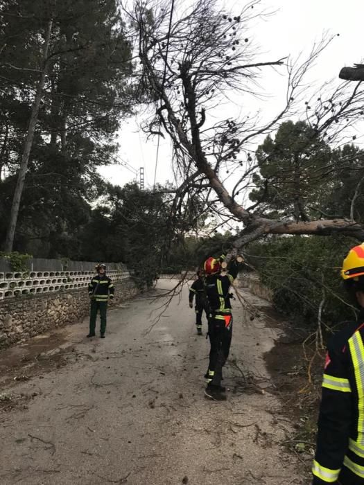 Desperfectos ocasionados por el viento en Alcoy