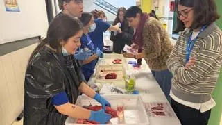 Aprendices de científicos en Chapela