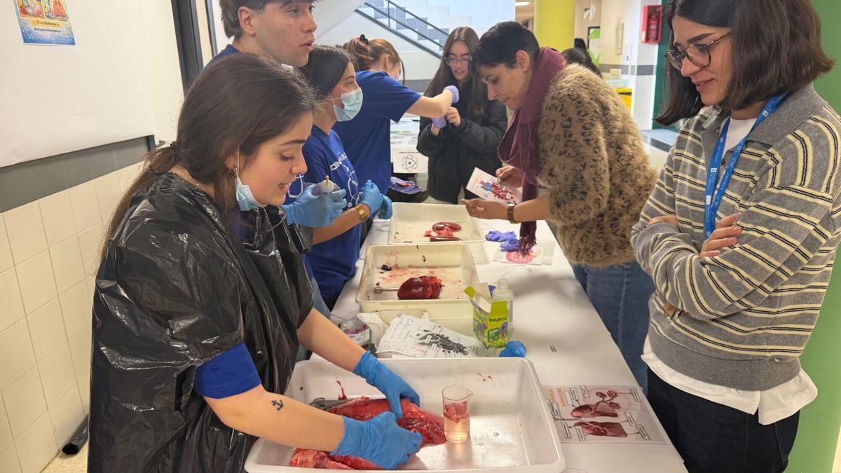 La Semana de la Ciencia en el IES de Chapela, en imágenes