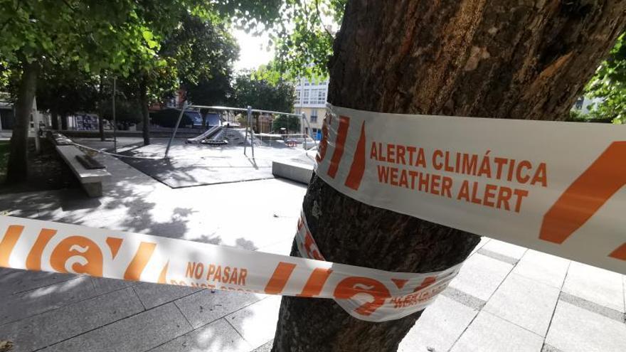 Red en la Domus y parques cerrados por el temporal  | CARLOS PARDELLAS