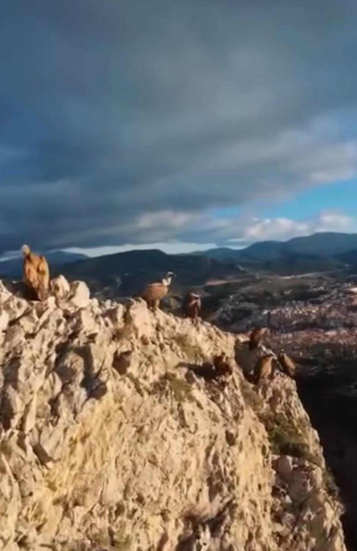 Una captura del vídeo grabado por un dron que ha sido facilitada por el Ayuntamiento, y que ha sido eliminado de redes socialesa ha estat eliminat