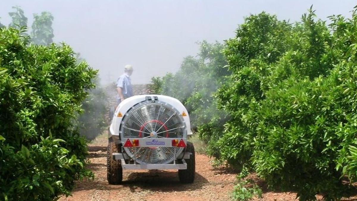 Un agricultor pulveriza un campo citrícola para evitar la proliferación de plagas.