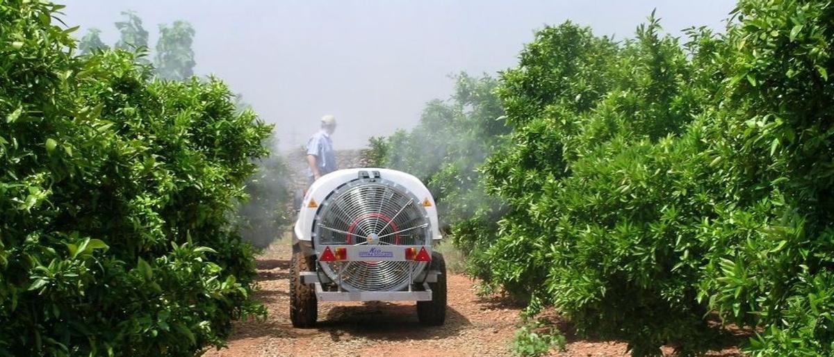 Un agricultor pulveriza un campo citrícola para evitar la proliferación de plagas.