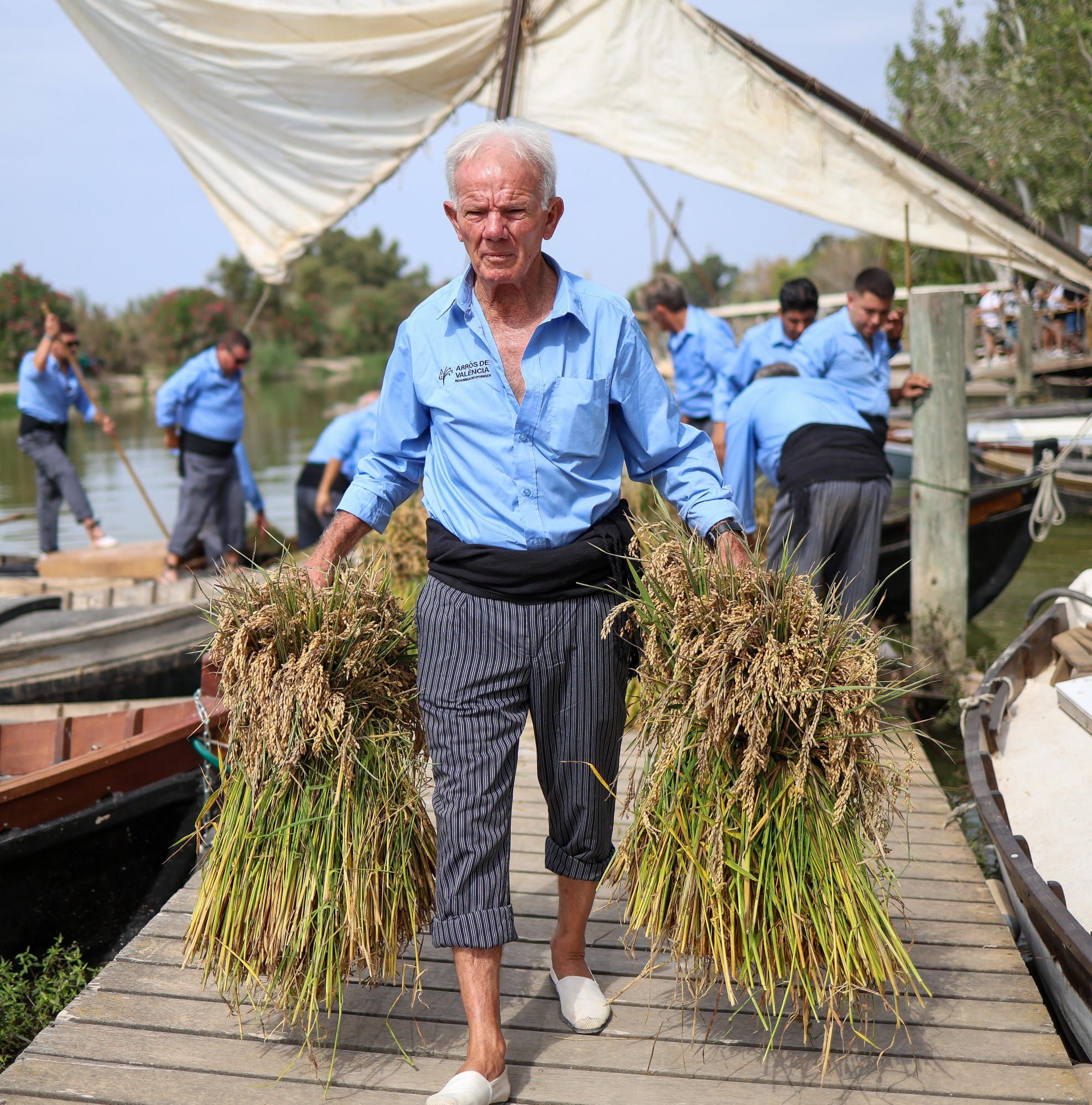 El puerto de Catarroja reúne a 5.000 personas en la Fiesta de la siega del arroz