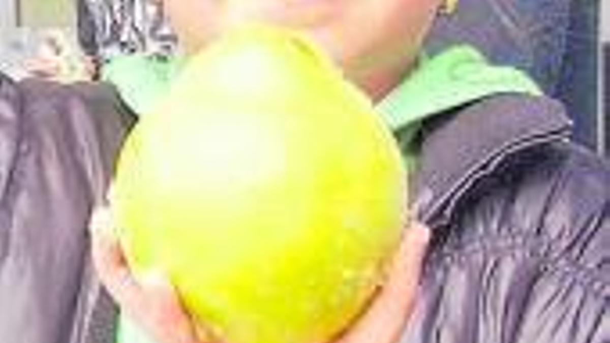 El membrillo, típico de la época otoñal