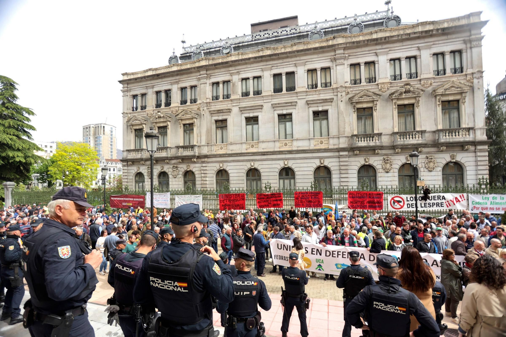 En imágenes: Así fue la manifestación del campo asturiano en Oviedo