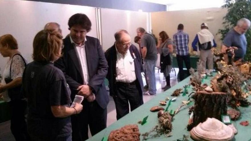 Entre els actes hi haurà una exposició de bolets