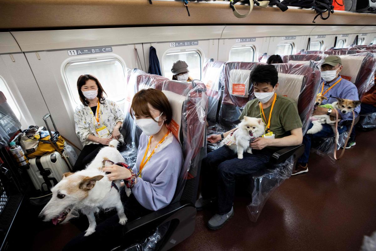 Pasajeros y mascotas, en el interior del tren bala.