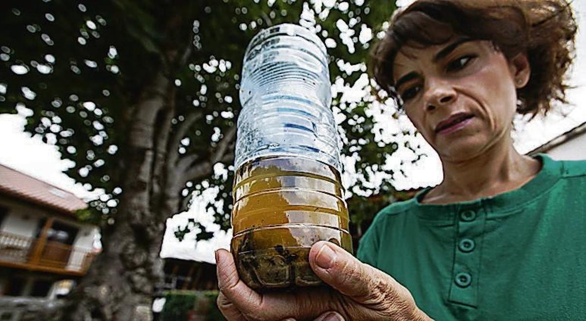 Bueño planta cara a la avispa asiática con trampas caseras de zumo de higos