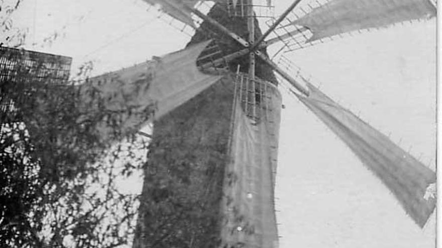Antes de usar motores la harinera usaba un molino de viento.