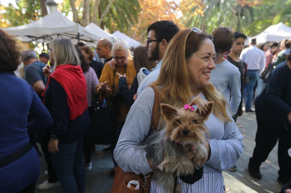 Segundo mercado navideño en el Jardín de la Concepción