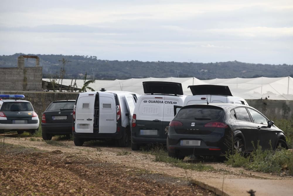 Más de 20 detenidos en una gran operación antidroga en Mallorca y la península