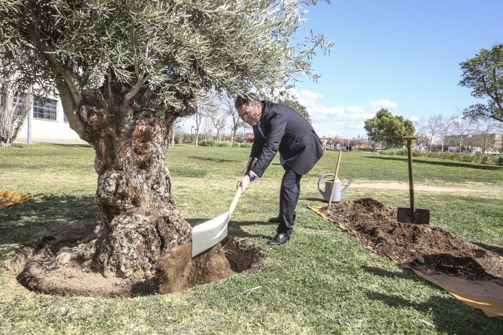 El fundador de Vectalia, Joaquín Arias, recibirá a la Mención Honorífica del Consejo Social de la UA a título póstumo