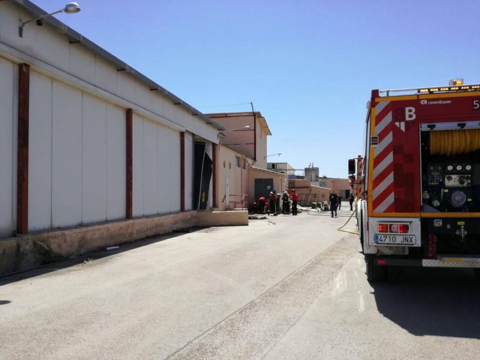 Incendio en una nave industrial en Marratxí