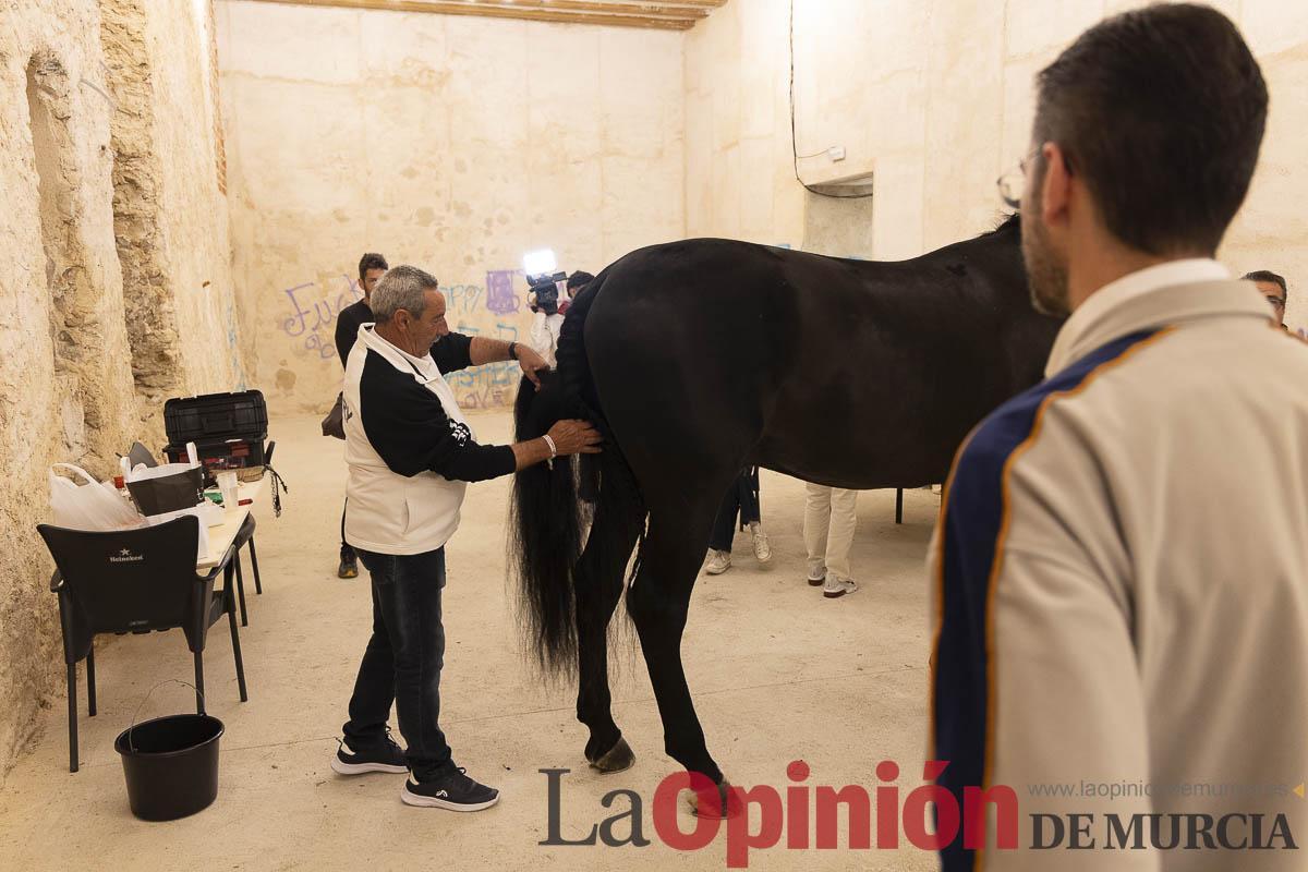 Caballos del vino/Vestir a un caballo_018