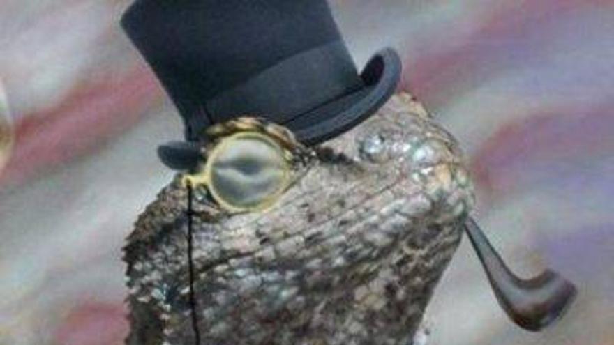 Las cuatro cosas que debes saber del &#039;Escuadrón Lagarto&quot; (Lizard Squad)