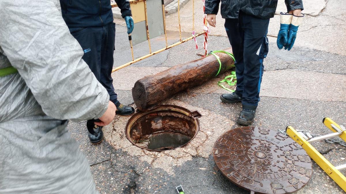 Operarios municipales retiran un tronco del interior de una alcantarilla tras el paso de la borrasca Claudia por Almodóvar.