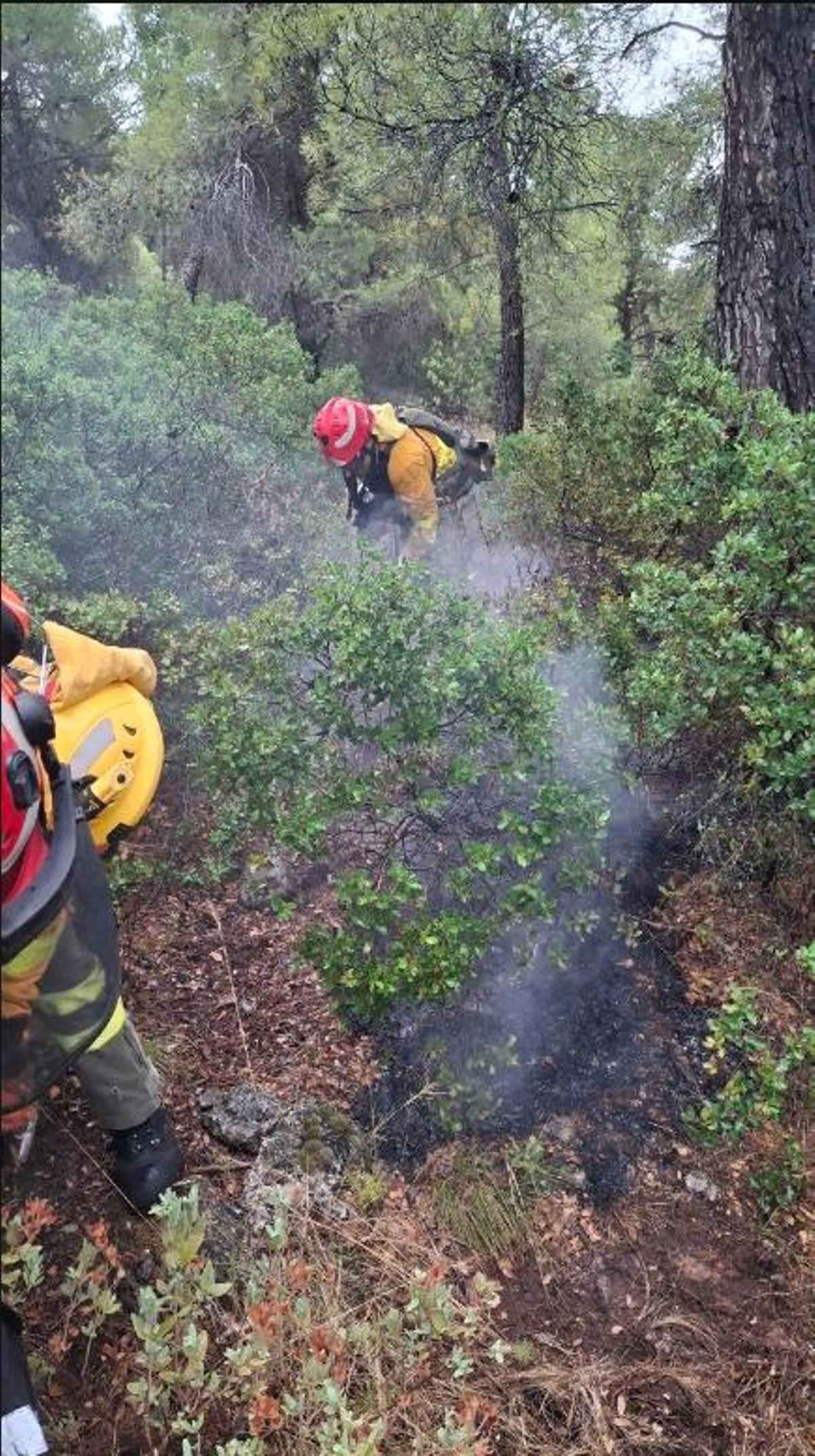 Los bomberos revisan la zona para detectar posibles focos.