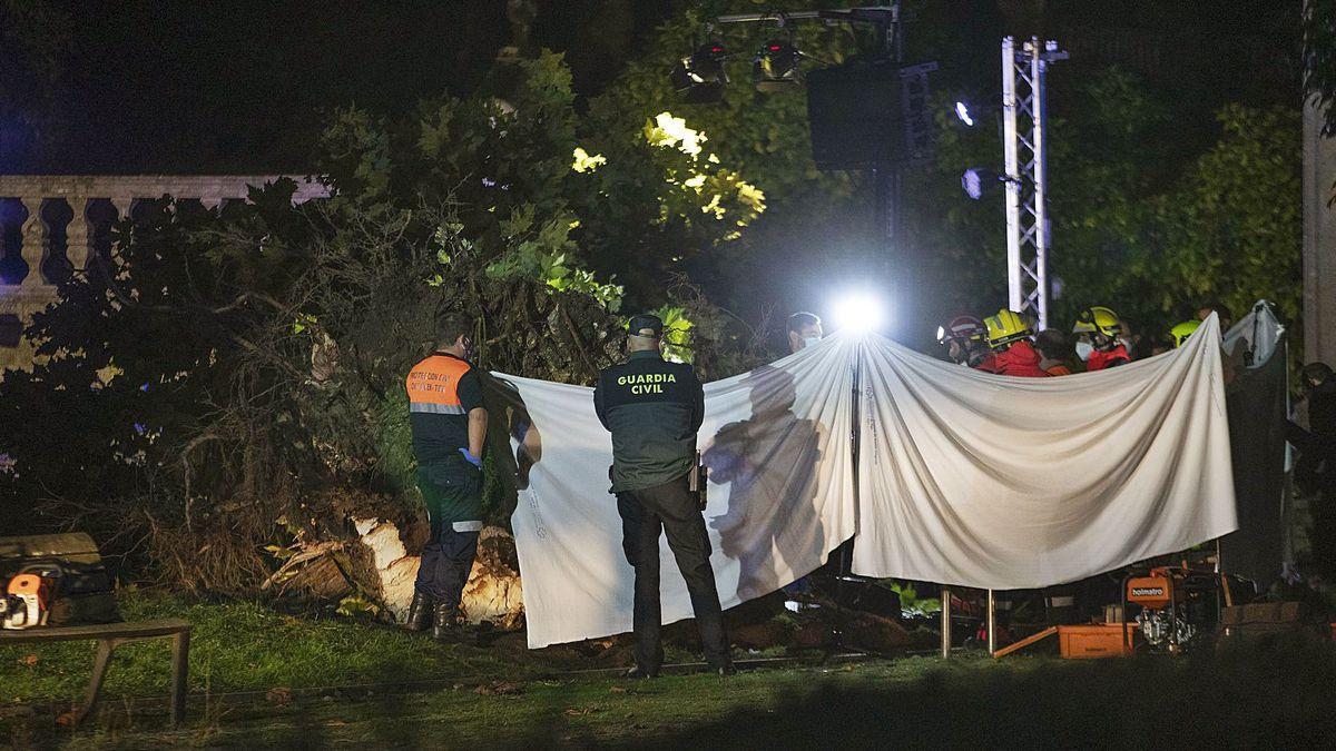 Los equipos de emergencia y médico, ayer, trabajan junto al árbol derrumbado.