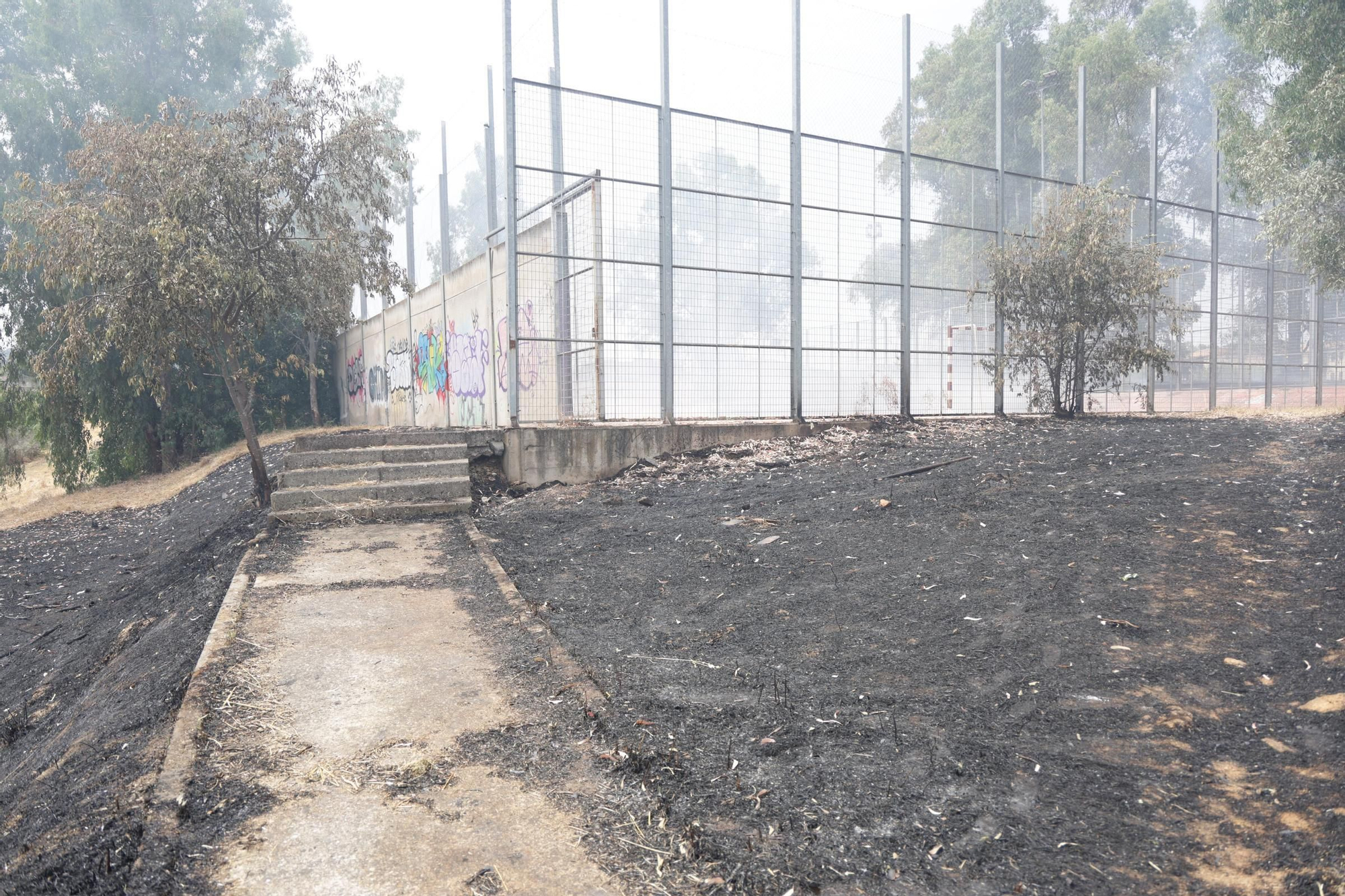 Incendio de pastos en unas pistas de fútbol de La Mejostilla