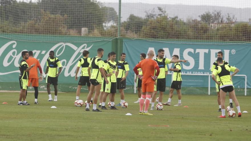 Los futbolistas del Elche, durante el entrenamiento de este viernes por la mañana