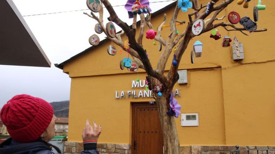 Esperanza sobre el árbol quemado en la Sierra de la Culebra