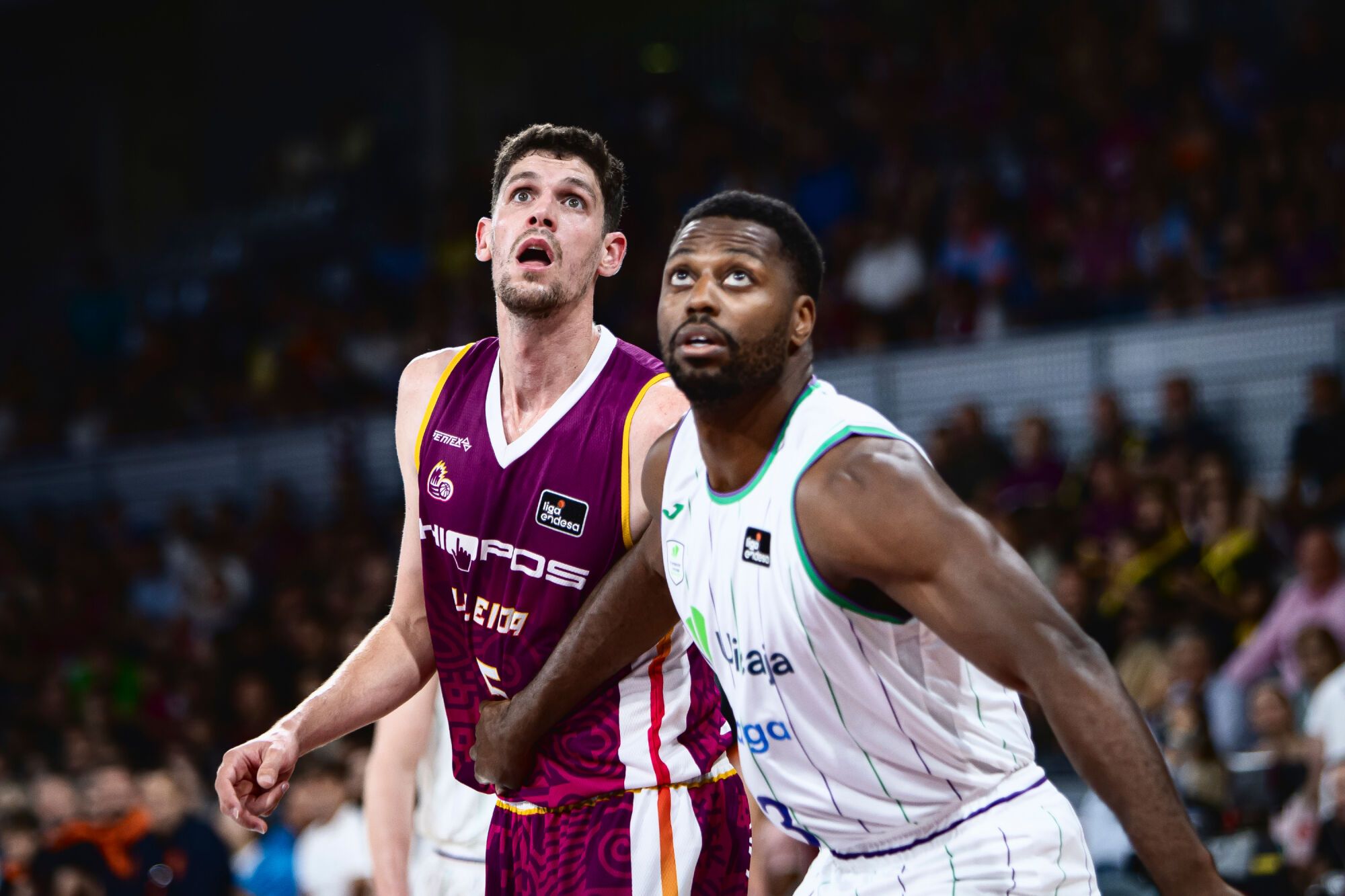 Liga ACB Endesa 224 - 2025: Força Lleida - Unicaja
