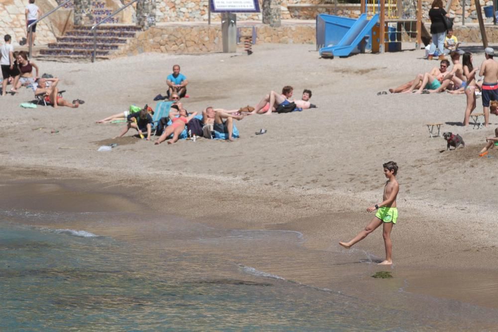 Día de la Mona en Cartagena