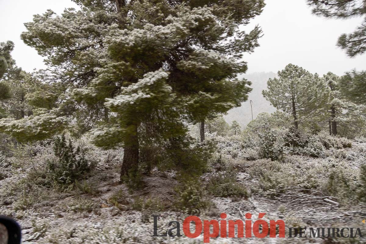 Nieve en el Noroeste