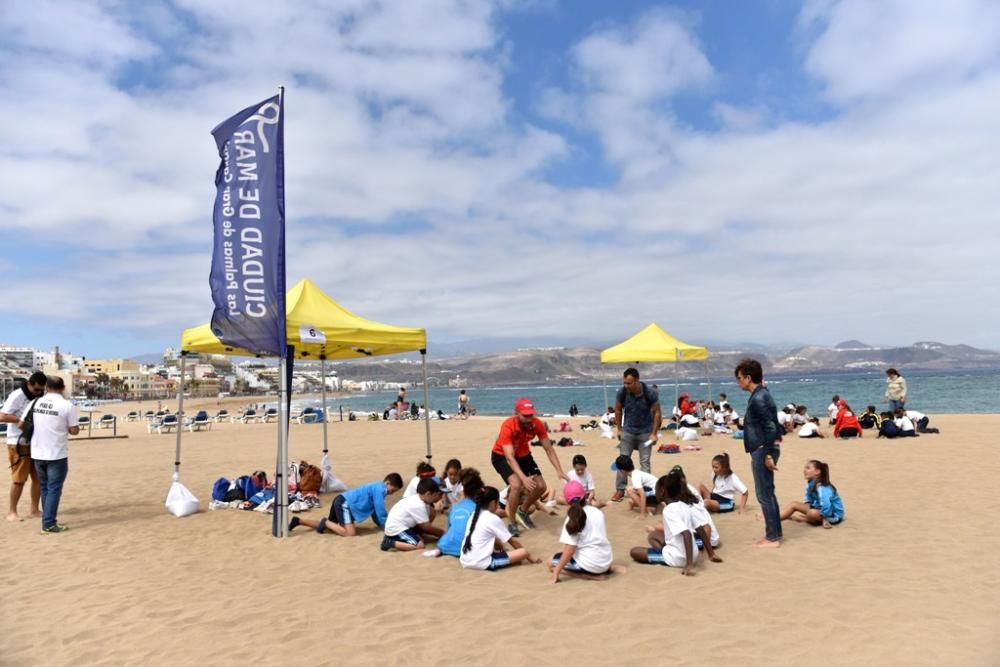 Suelta de tortugas boba en Las Canteras