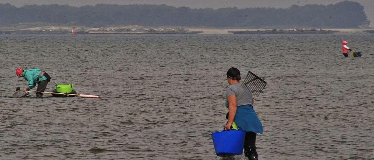 Imagen de archivo de una jornada de marisqueo en Cambados.