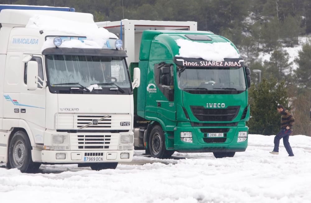 Efectos del temporal de nieve en Requena