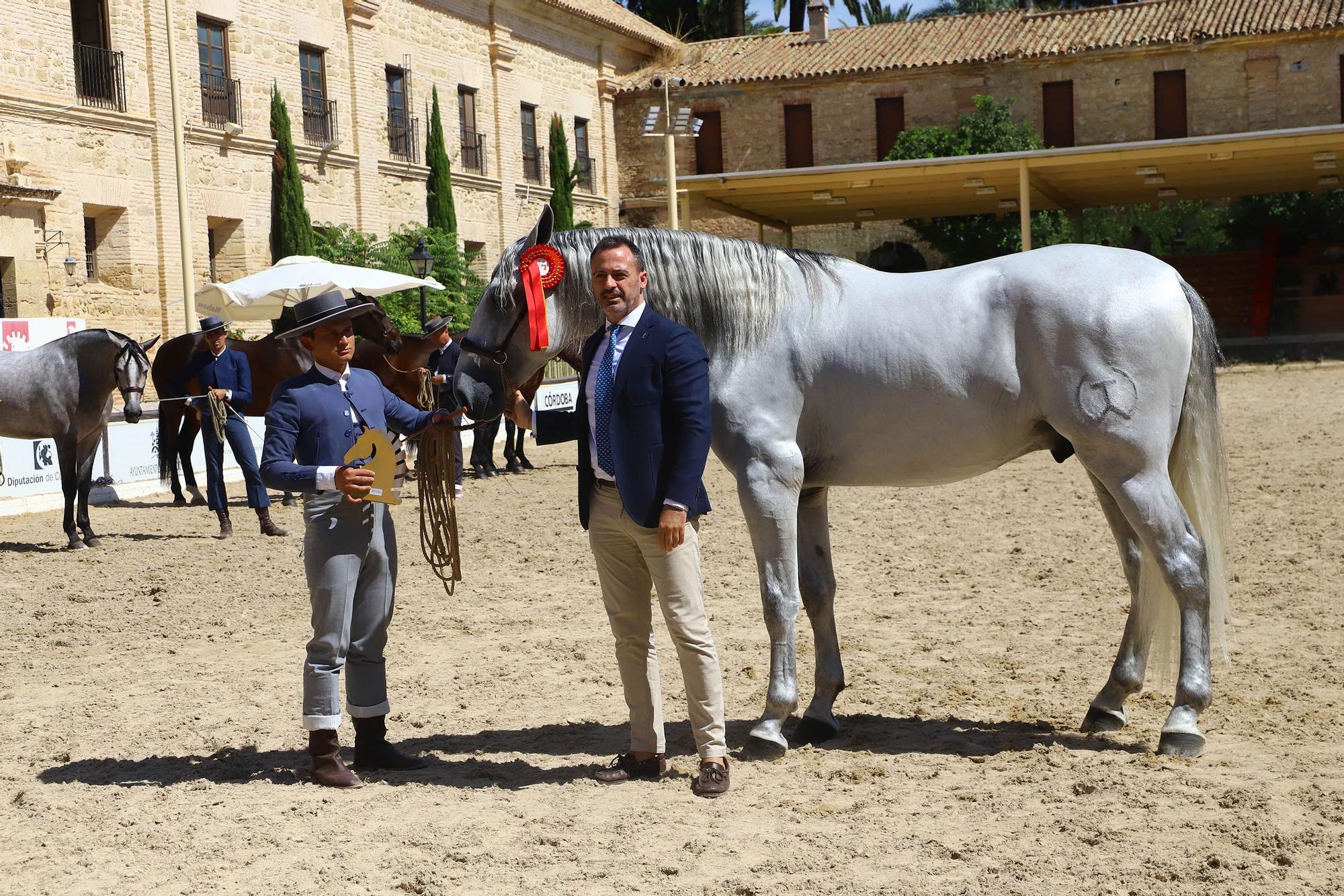 Cabalcor hace entrega de los premios especiales del concurso morfológico