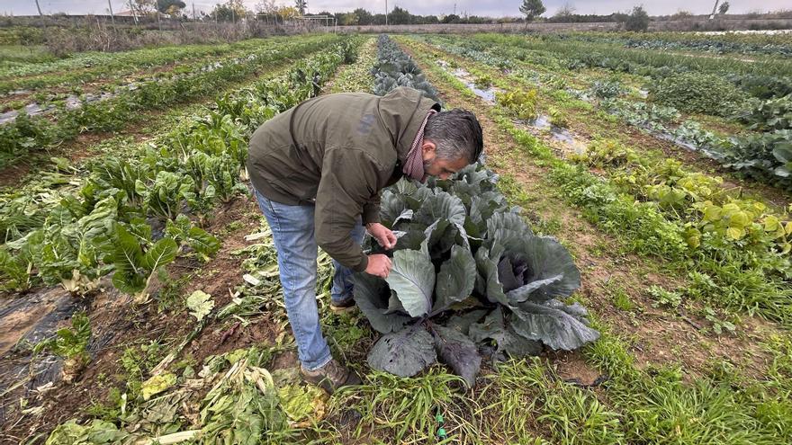 Los gallegos compran más productos ecológicos que la media de España, pero su campo aún no le sigue el paso