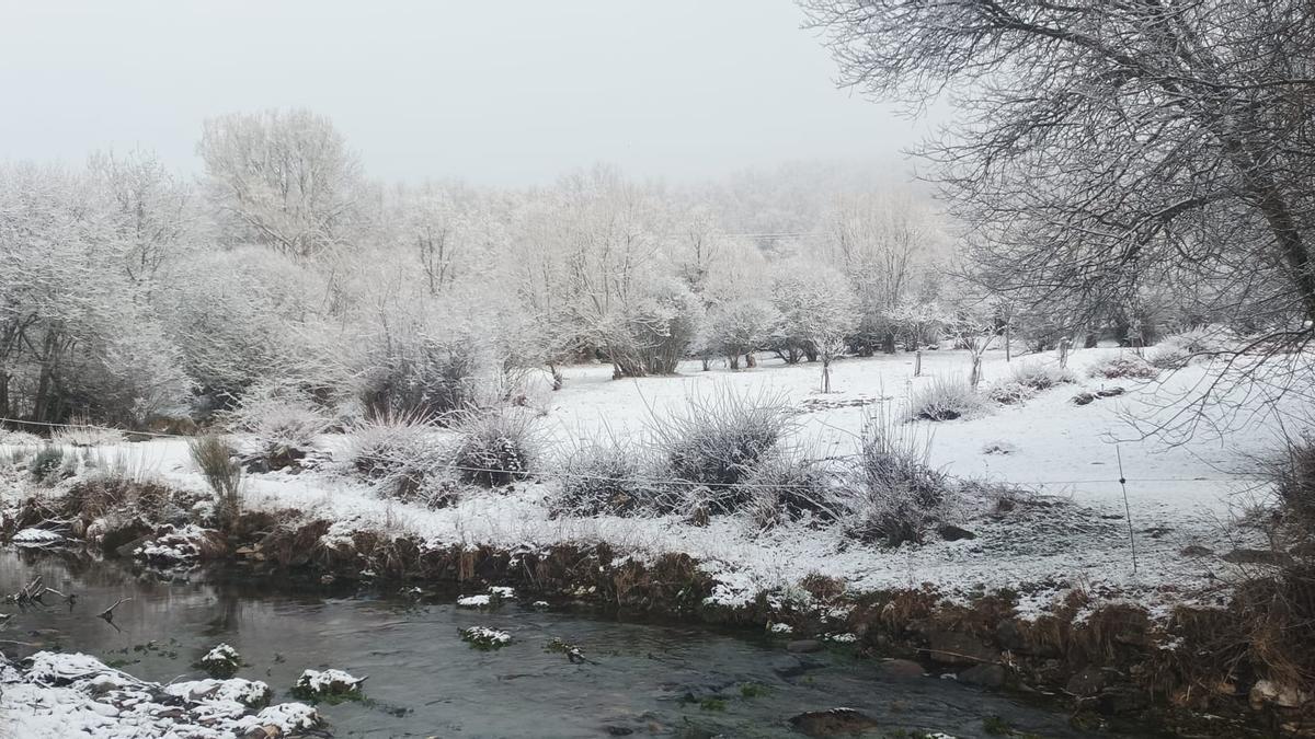 Imágenes de la nevada en Vigo de Sanabria.